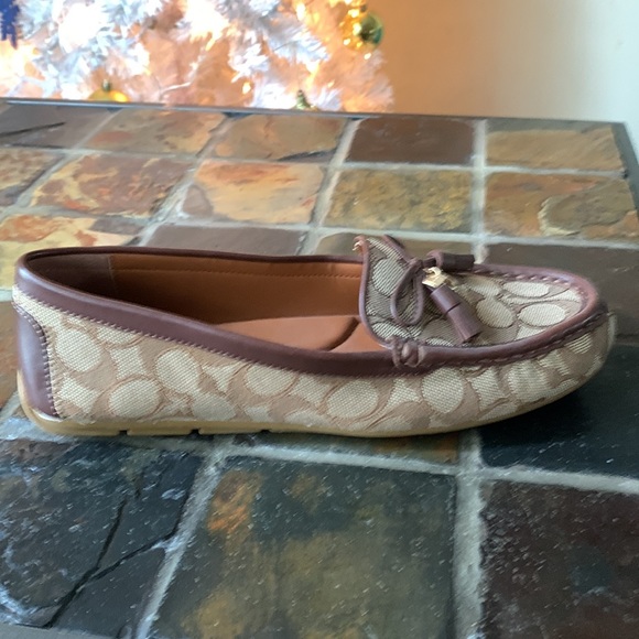 Coach - Picture 5 of 6